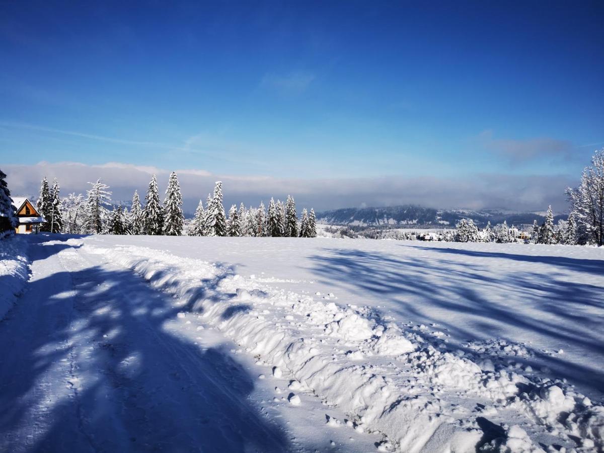 Heidi Villa Zakopane Eksteriør billede