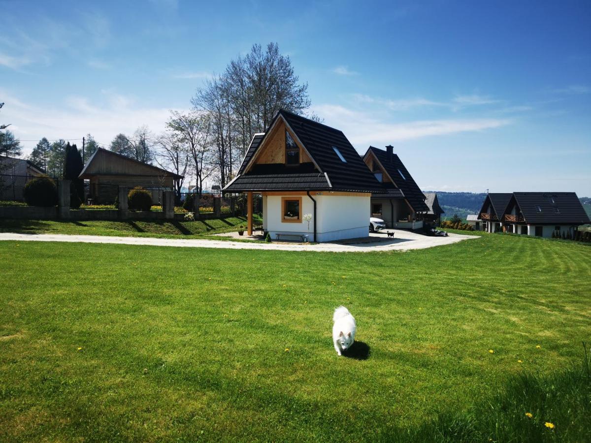 Heidi Villa Zakopane Eksteriør billede